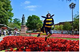 A person dressed up as a bee