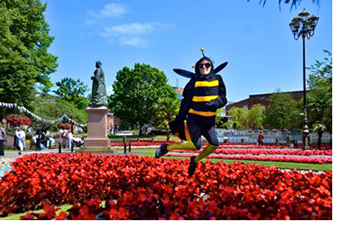 A person dressed up as a bee