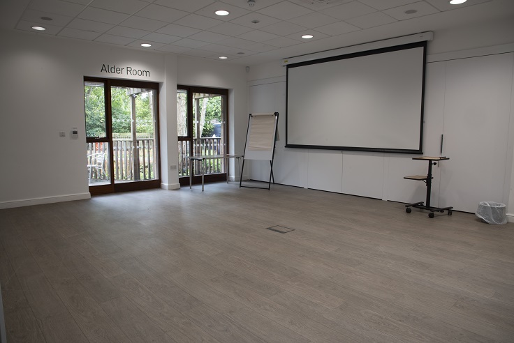 Alder room with larger projection screen