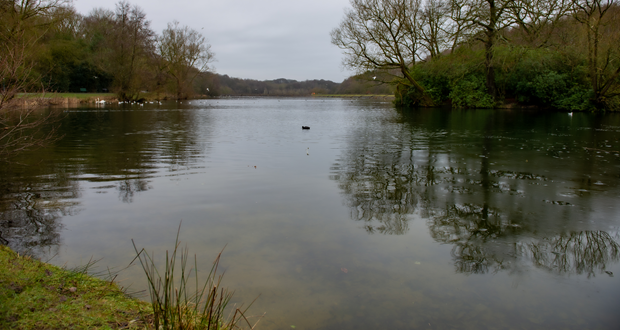 Image shows a lake at Bathpool Park