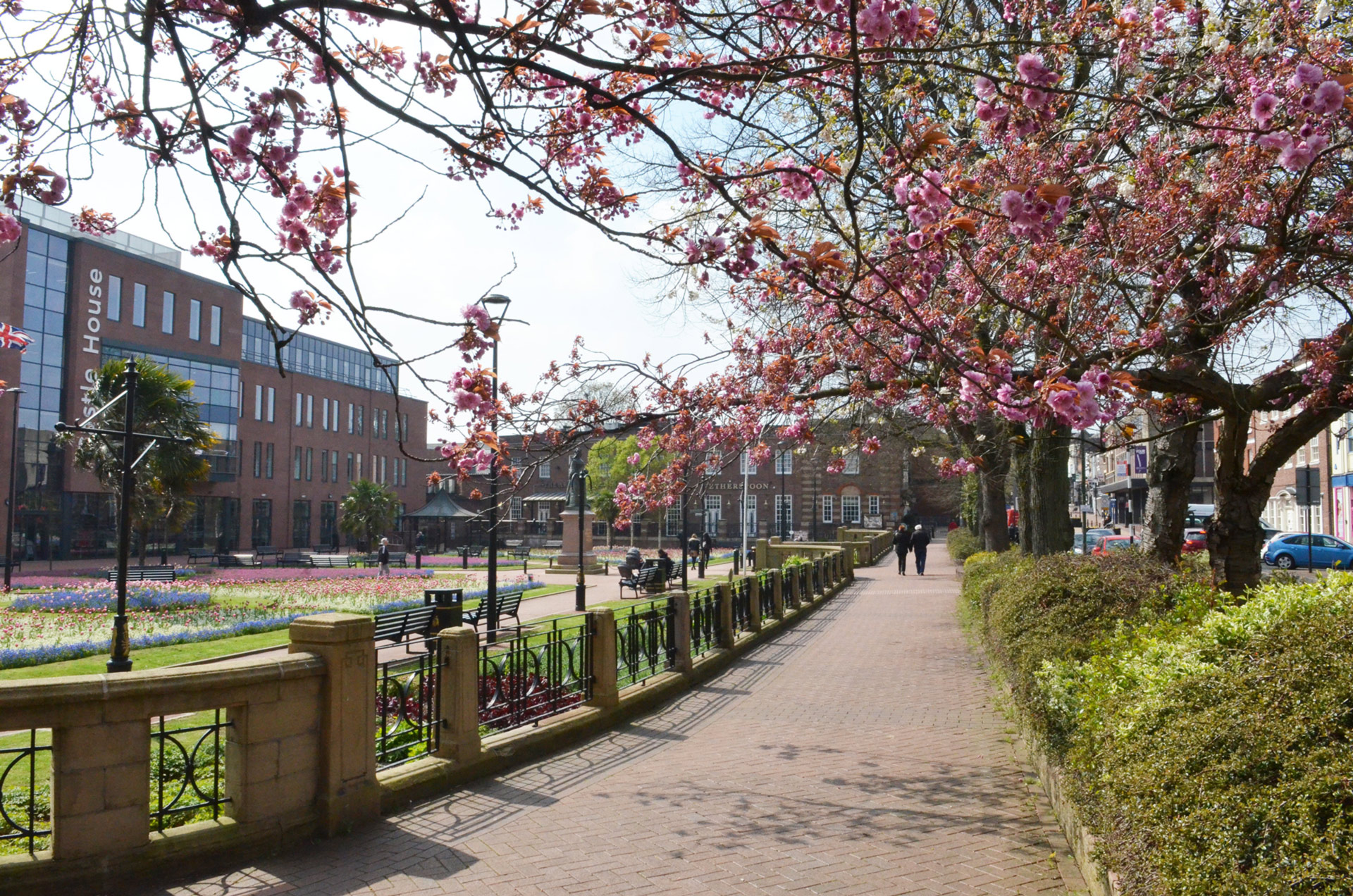 A photo of the blossom trees in the Queens Gardens outside of Castle House