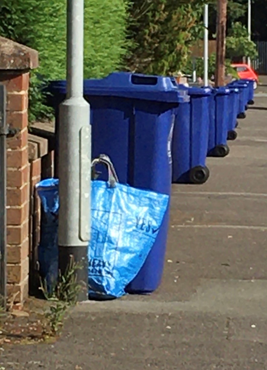 Image shows a row of recycling bins and bags outside homes.