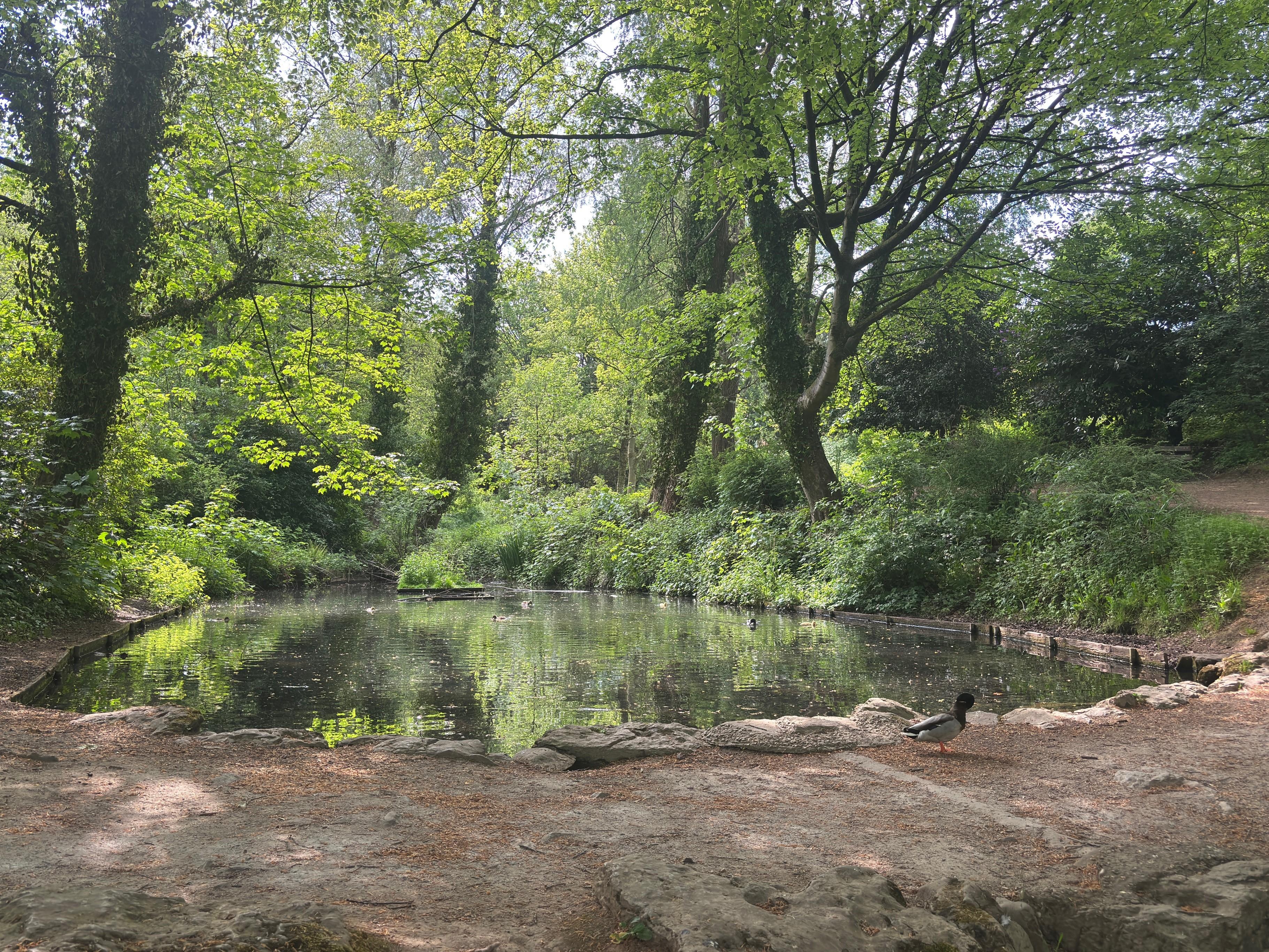 Newcastle-under-Lyme Borough Council, Civic Pride, pride, Bradwell, Porthill, partners, services.