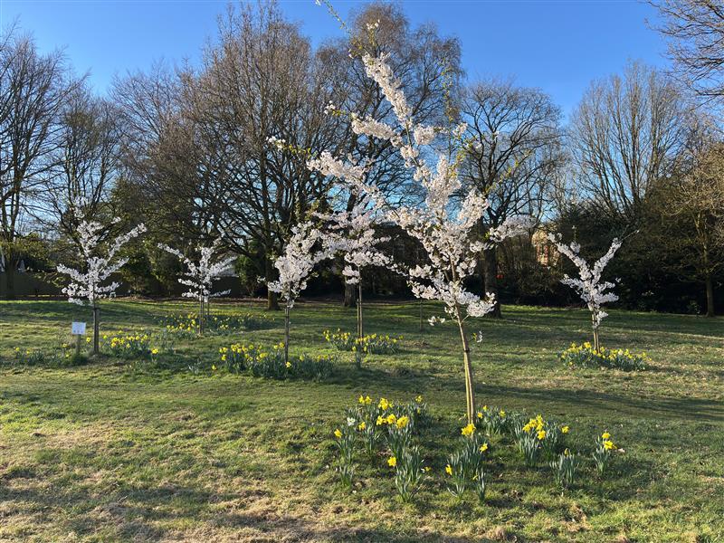 Sandy Lane, in Newcastle, is one of the first sites being considered for Fields in Trust status. A public inquiry is also due in the new year to determine a historic Village Green application which is supported by the council.