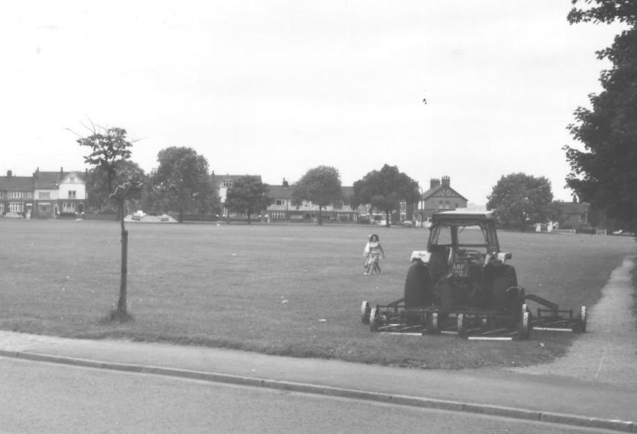 Wolstanton Marsh in 1973