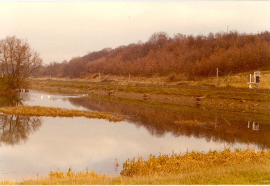 Bathpool park in 1977