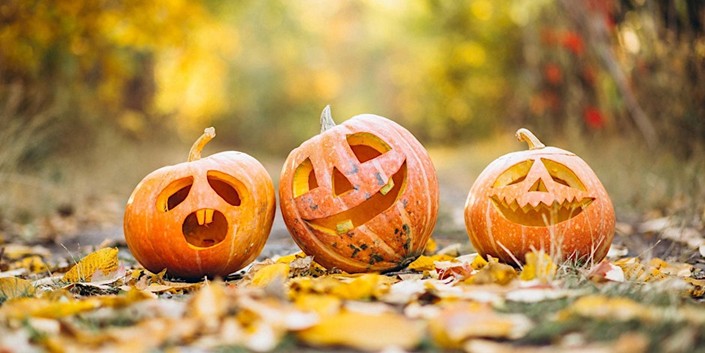 Three carved pumpkins