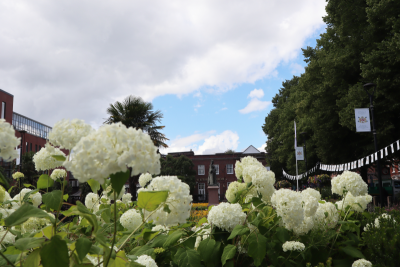 Britain in Bloom, Queens Gardens