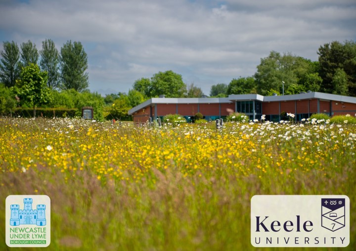 Bereavement site with long grass