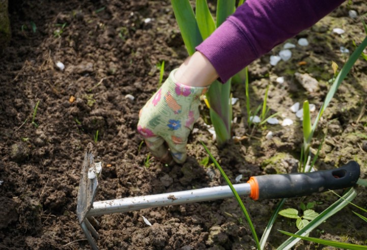A person digs with a trowel