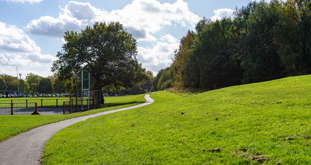 Image shows a path running through parkland.