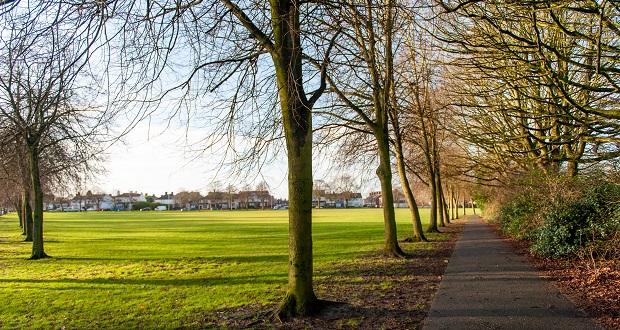 An image of a tree line and open space near Church Lane.