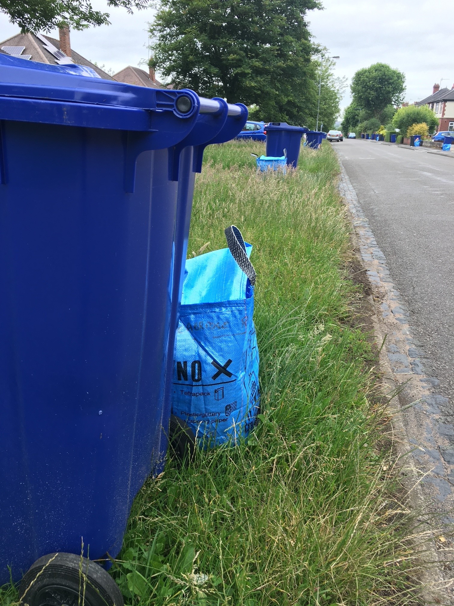 Picture of a blue bin with a bag next to it, sitting on the kerbside