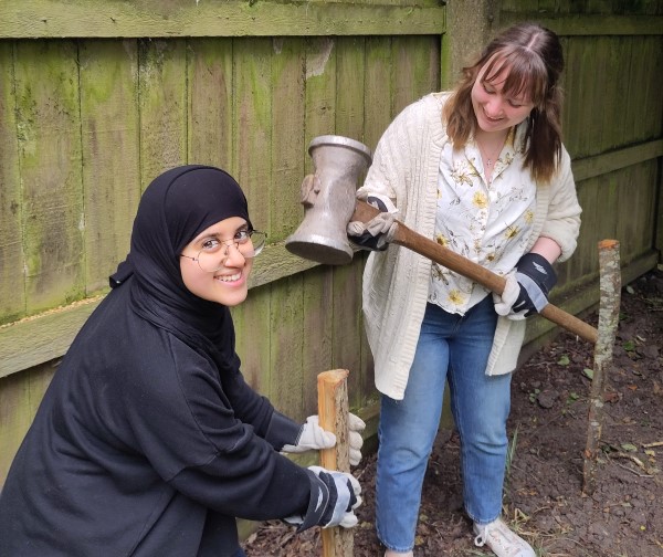 Two young volunteers hammer in a wooden pole in a garden