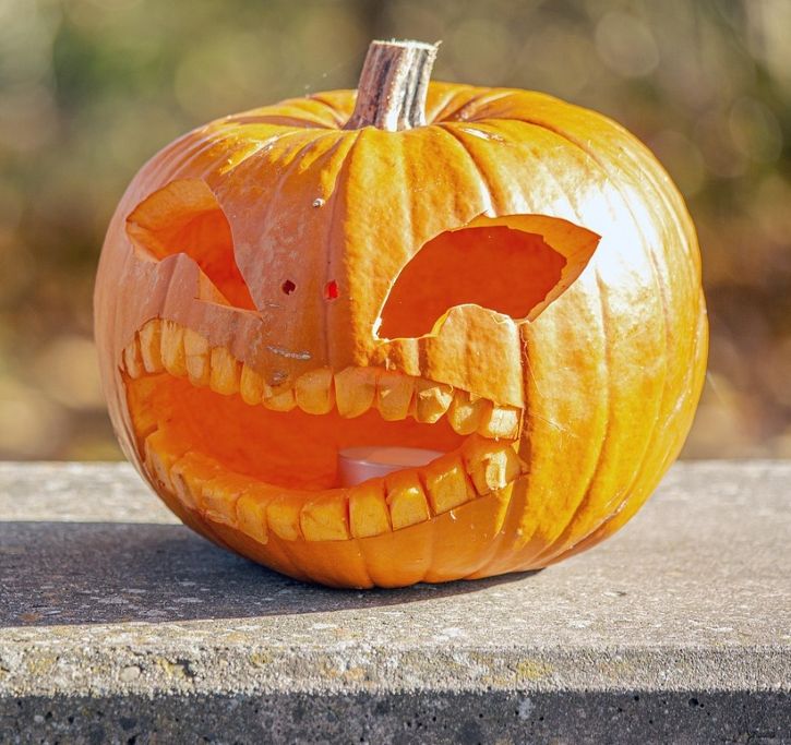 Pumpkin carving with Grow North Staffs