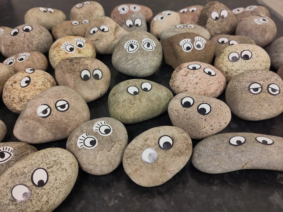 Pebbles with googly eyes