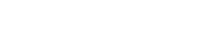 Logo: Visit the Newcastle-under-Lyme Borough Council home page